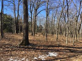 Lots 12,13,14,25 Lodge Drive