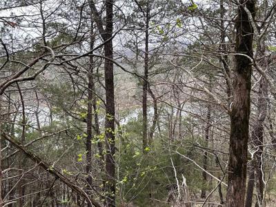 4.72 acres CR 227