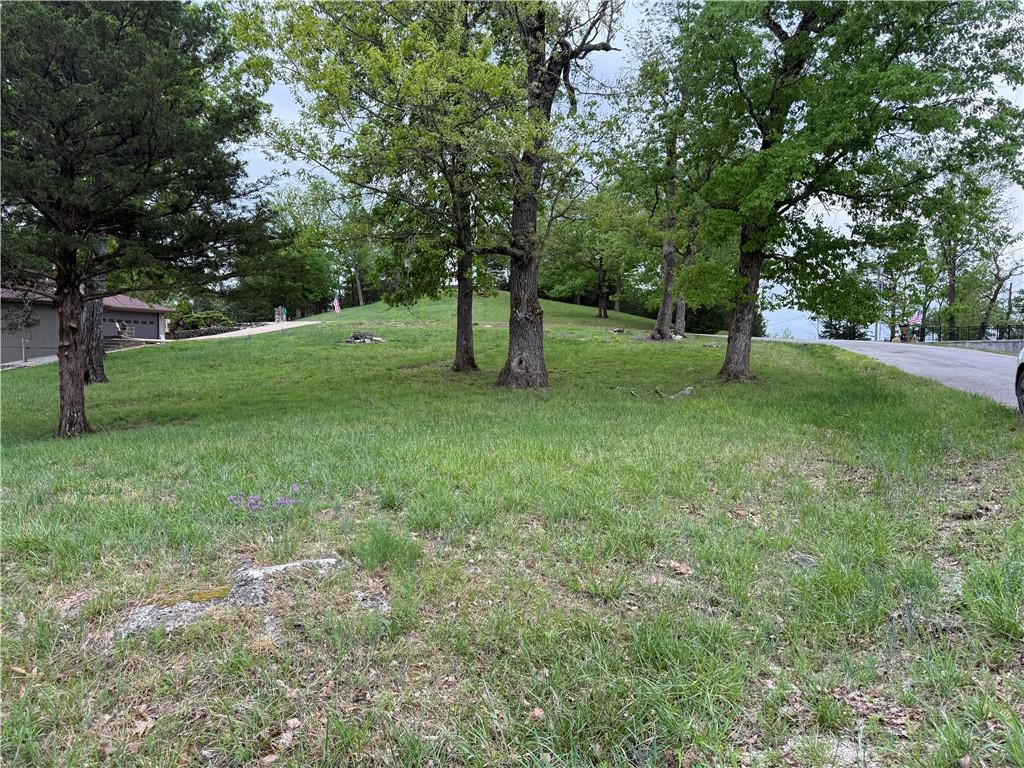 Image 2: Expansive graded lot featuring mature trees and a