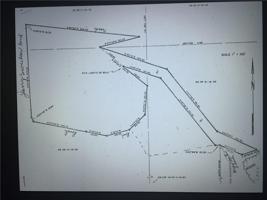 Frisco Springs Road