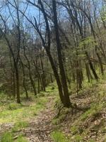 Hobbit Lane