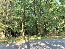 Lot 5 Branchwood Lane