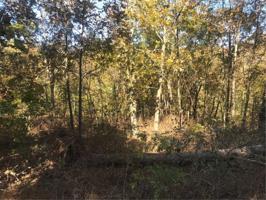 Lot: 01 Kinross Drive