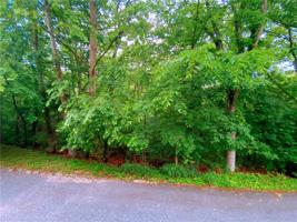 Lot 10 Recreation Drive