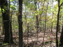 Tract 15 Rolland Road