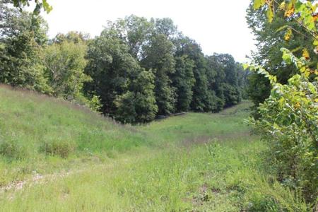 26.44AC Coose Hollow Drive
