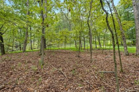 Lot 26 Dogwood Drive