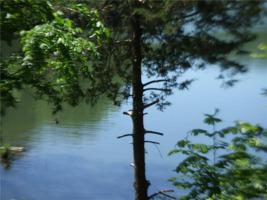 9 Wahl Lane