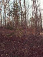 Letchworth Drive