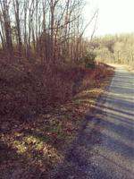 Letchworth Lane
