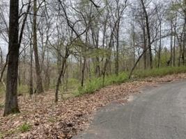 Lot 11 Block 4 Brechin Lane