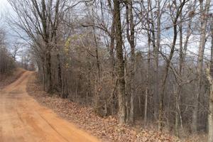 Hickory Springs Road