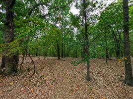 Lot 7 Hinchingbrooke Lane