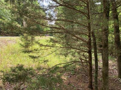 Pine Drive
