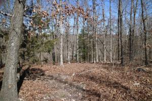 Lot 10 Pithlochry Circle