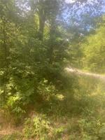 Tract 2 Pita Lane