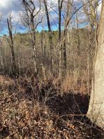 Lot 7 Block 4 Johnson Lane