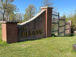 1 W Bluff Lane