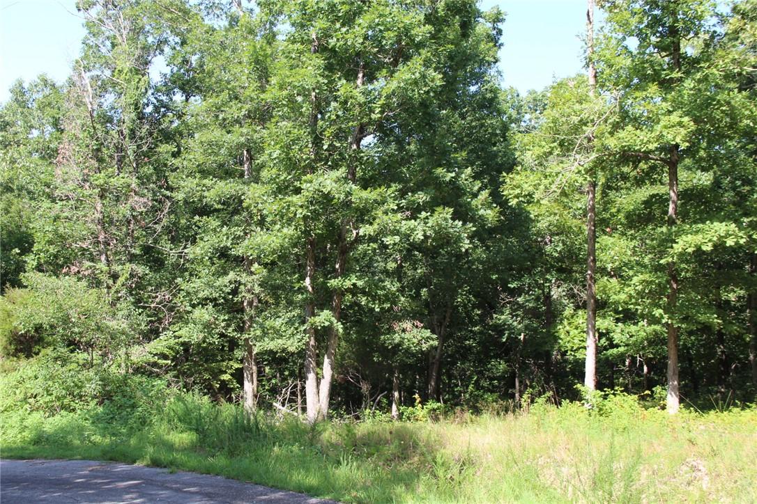 Image 2: Front to back of lot