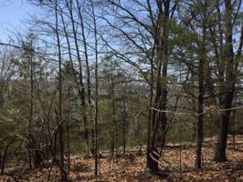 Lot 11B W Locust Drive