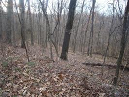 Ridge  RD