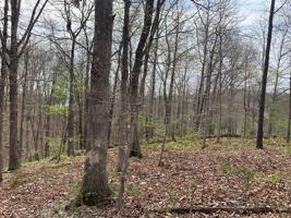 Lot 23 Strichen Drive