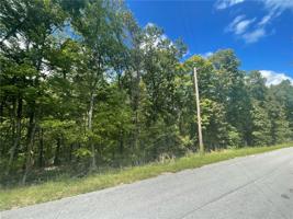 Chelmsworth Drive