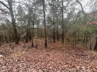 Lot 6 Hillside Drive