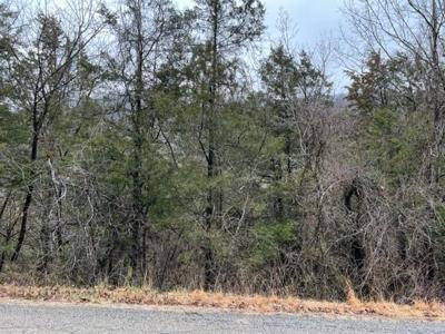 50 Wild Turkey Drive