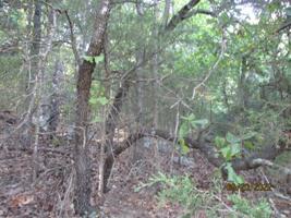 Lot 30 Block 3 Maple Drive