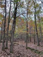 Lot 25 Canary Drive