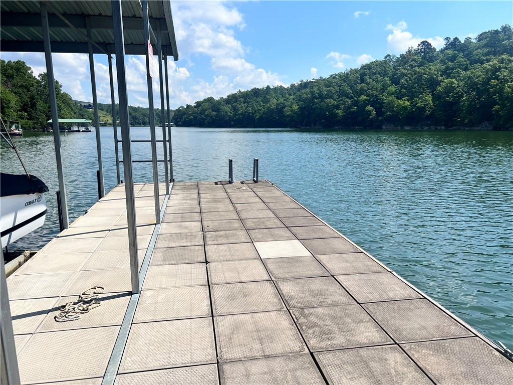 Image 4: Lot ownership gives access to community dock with