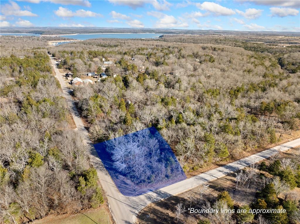 Image 4: Aerial view of a heavily wooded area and a nearby