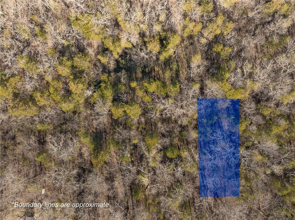 Image 1: Bird's eye view