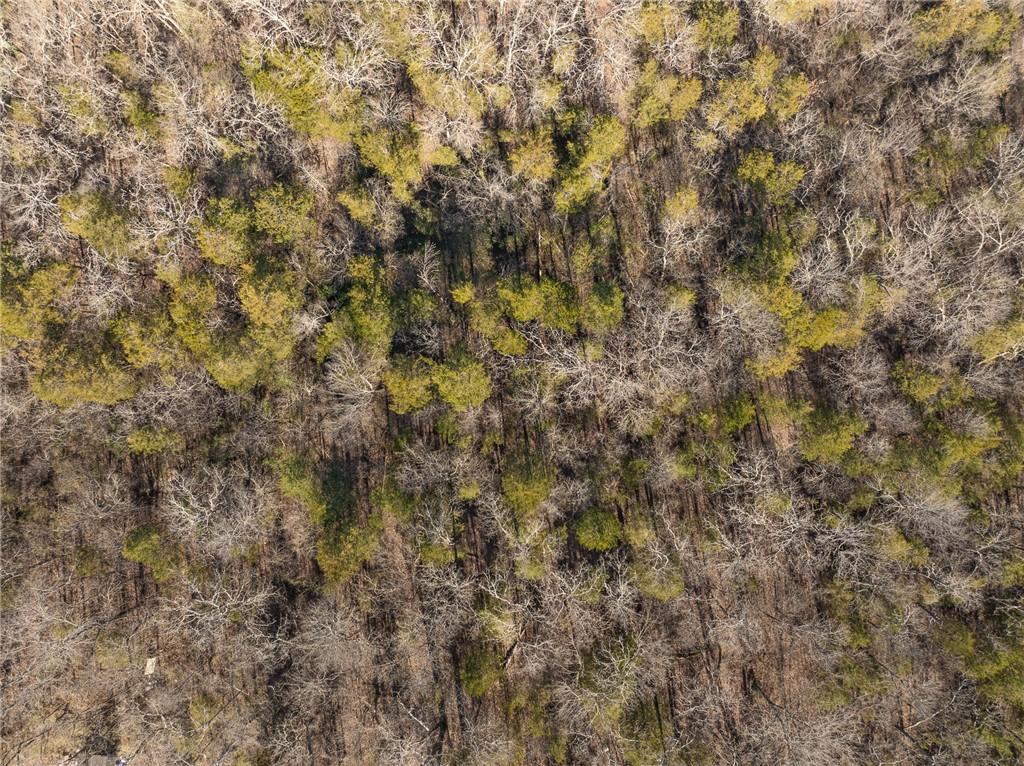 Image 4: Aerial view of property's location