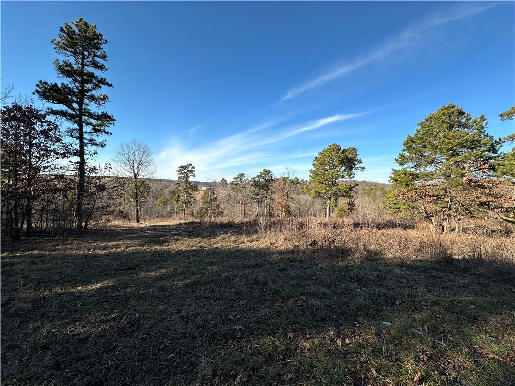 Image 2: Expansive terrain featuring mature evergreen and d