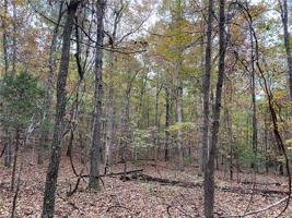 Lot 31 Rocky Branch Road