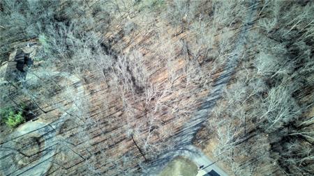 Lot 53 Rountree Drive