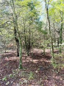 Lot 60 Lodge Drive