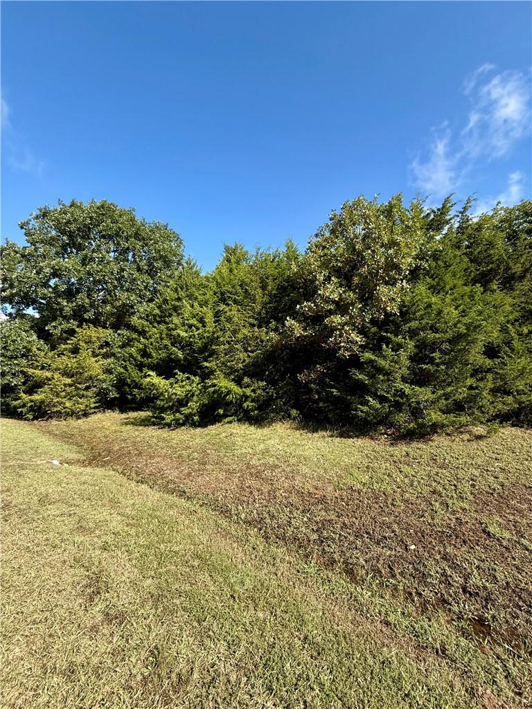 Image 2: Lot 60 Lodge Dr., Garfield, AR 72732