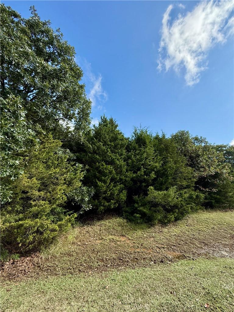 Image 4: Wooded lot