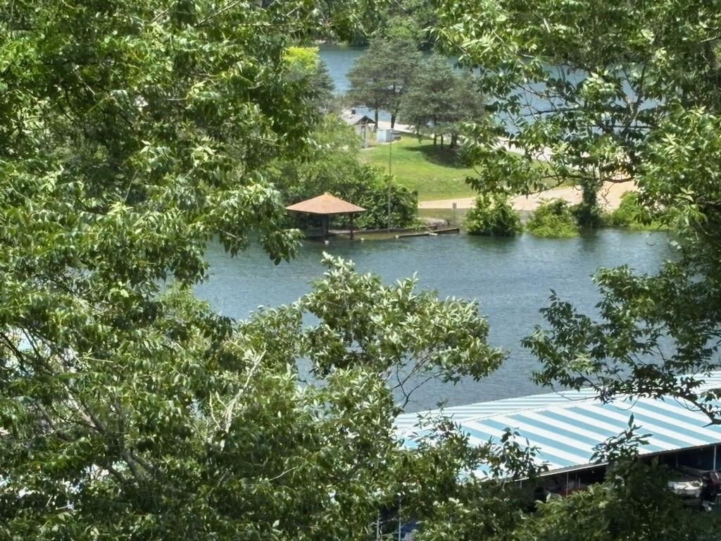 Image 3: Water view during summer