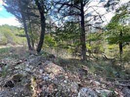 103 Appaloosa Drive