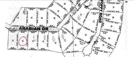 Lot 213 Arabian Drive