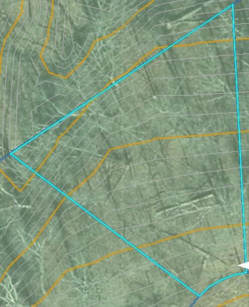 Image 2: Bella Vista Flat contour map