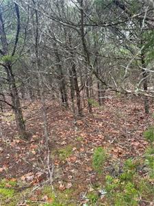 Lot 5 Beaver Drive
