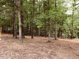 Lots 2, 3, 4 Pullum Place Road