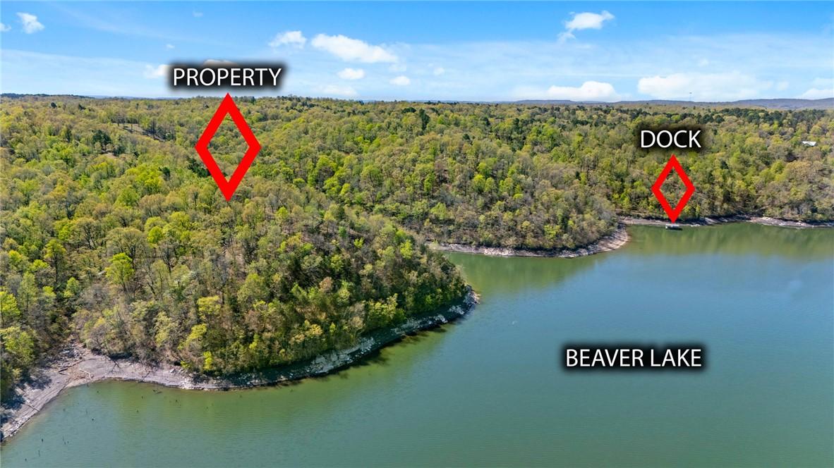 Image 1: Property and boat dock