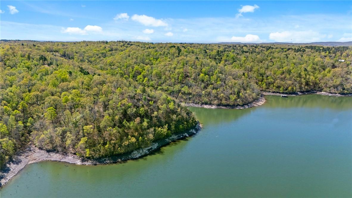 Image 2: Property and boat dock