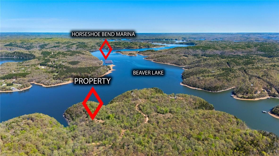 Image 3: Aerial view of property, Beaver Lake and Horsehoe